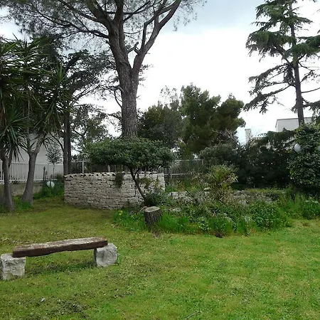 Garden 2*