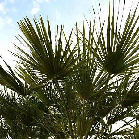 Garden לינה וארוחת בוקר 4*