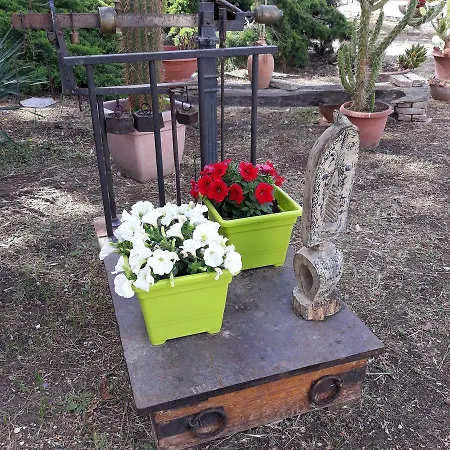 Bed & Breakfast Garden Bisceglie