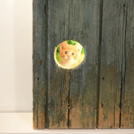 Garden Bed & Breakfast