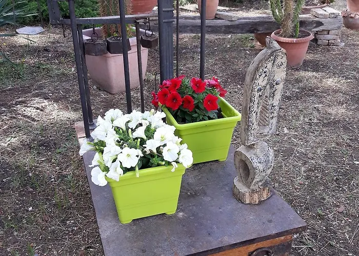 Nocleg ze śniadaniem Garden Bisceglie