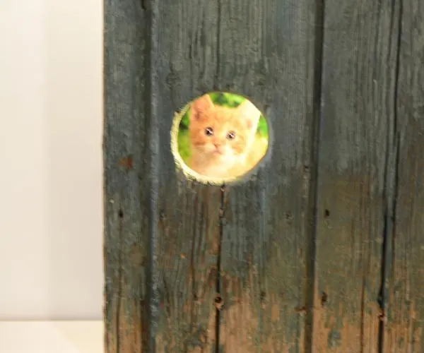 Garden Oda ve Kahvaltı